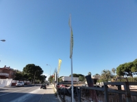 dsc02641