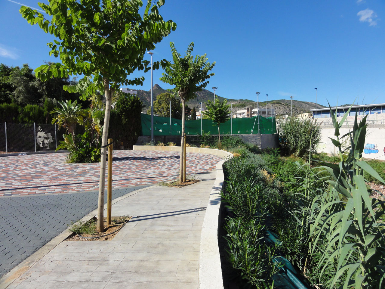 dsc04907