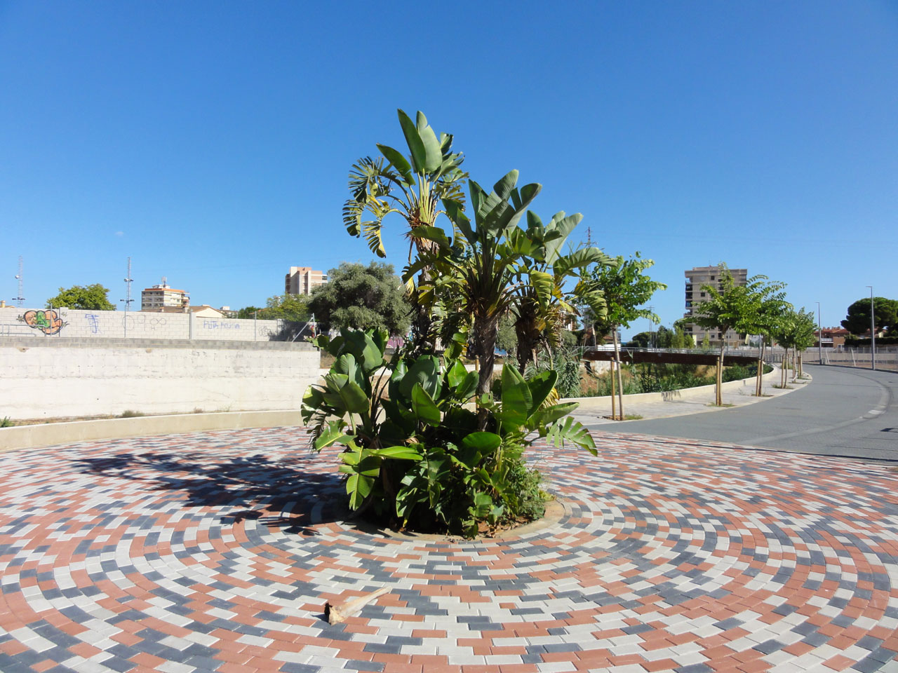 dsc04910