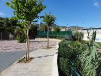 dsc04907